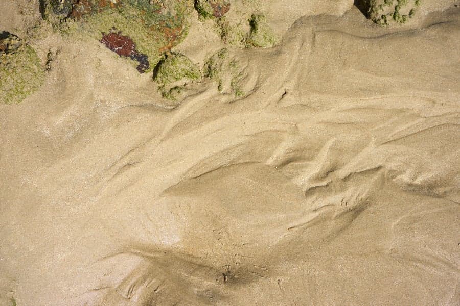 Washed River — Pale, clean, uniform