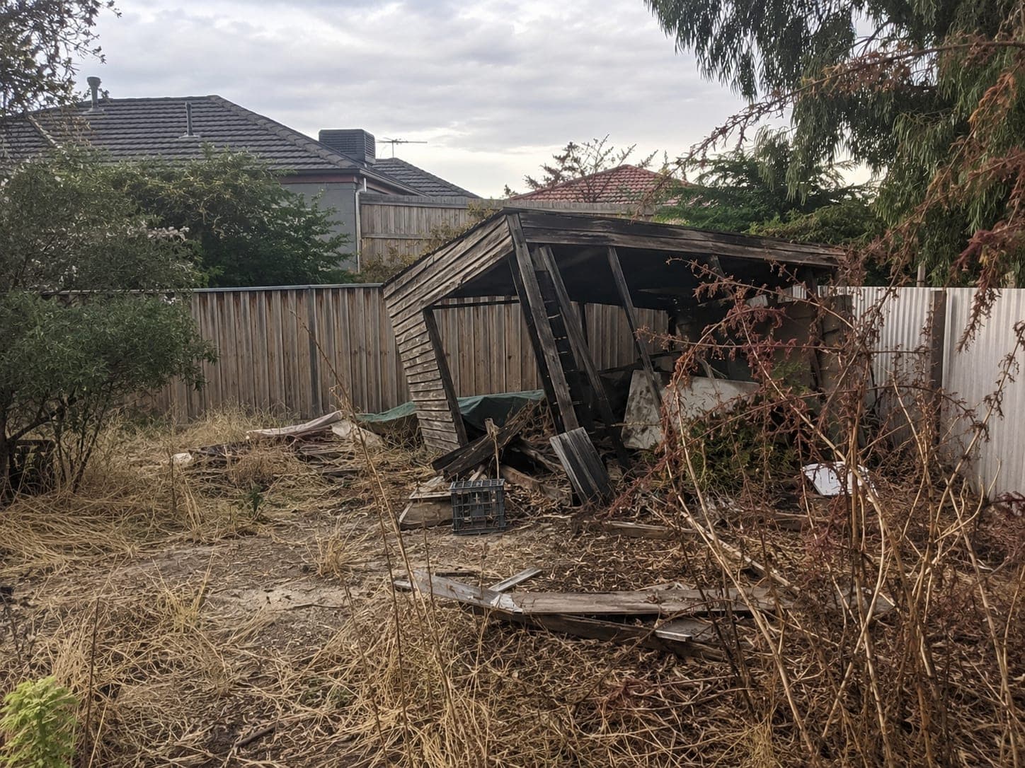 Overgrown backyard block with scrub and debris before site clearing